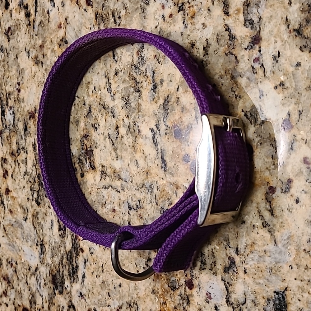 Large purple dog collar